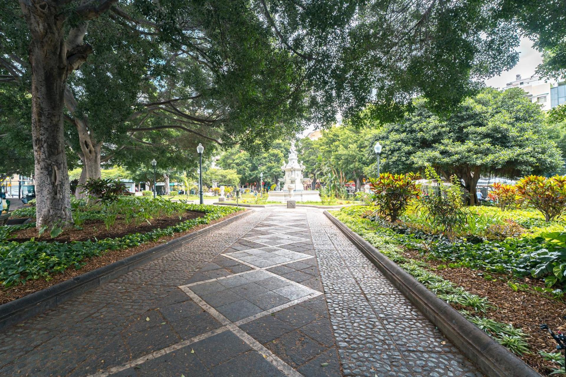 Apartamento Centro Ciudad Santa Cruz de Tenerife Kültér fotó